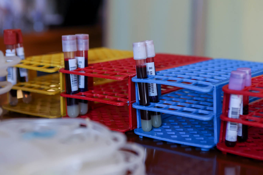 akcja krwiodawstwa, fot. archiwum